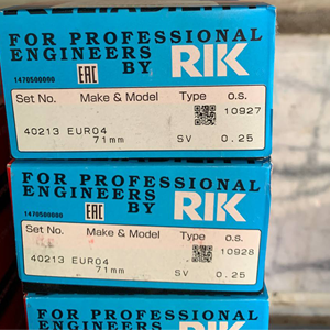 رینگ موتور 0.25 پژو RIK